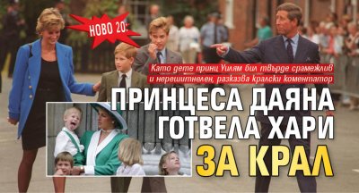Ново 20: Принцеса Даяна готвела Хари за крал 