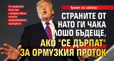 Тръмп се закани: Страните от НАТО ги чака лошо бъдеще, ако "се дърпат" за Ормузкия проток