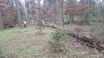 Само в Lupa.bg: Кой иска да съсипе парк &ldquo;Врана&rdquo;? (СНИМКИ)