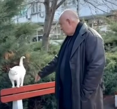 Бойко Борисов милва бял котак и слуша песен на Миленита (ВИДЕО)