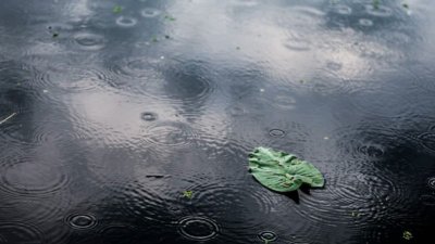 Не прибирайте дебелите дрехи: Студът се завръща другата седмица