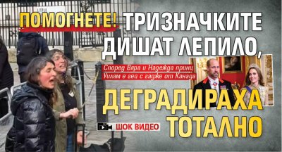 ПОМОГНЕТЕ! Тризначките дишат лепило, деградираха тотално (ШОК ВИДЕО)