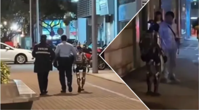 Робот беше арестуван, защото уплаши възрастна жена (ВИДЕО)