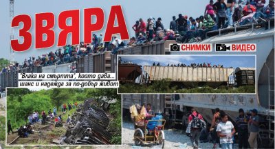 Звяра (СНИМКИ И ВИДЕО)