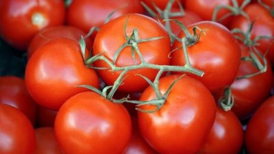 Защо доматите поскъпват рязко