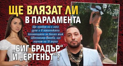 Ще влязат ли в парламента &bdquo;Биг Брадър&ldquo; и &bdquo;Ергенът&ldquo;?