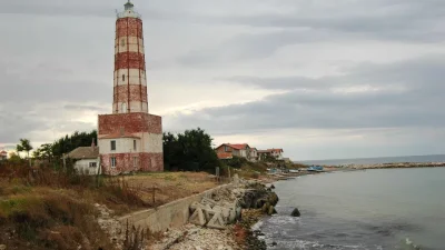 След мъртвите албатроси, морето край Шабла изхвърли и два делфина