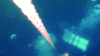 Отказ на двигателя е една от версиите за трагедията край Маслен нос