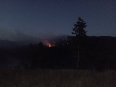 Непълнолетен подпали гора край Роман