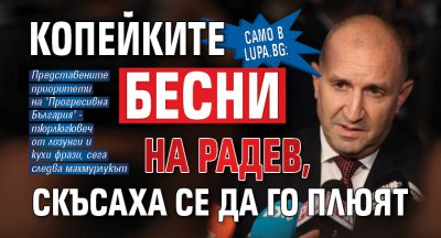 Само в Lupa.bg: Копейките бесни на Радев, скъсаха се да го плюят 
