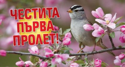 Честита първа пролет!