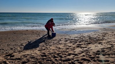 Рядък вид птици са открити мъртви по крайбрежието на Шабла