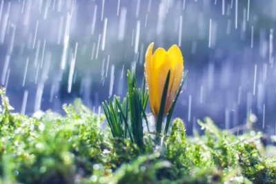 Пролетта се отлага с 10 дни