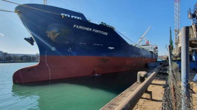 И четвърти кораб със слънчоглед от Аржентина е с пестициди над нормата