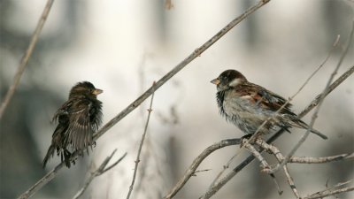 Вадете гумените ботуши, чака ни дъжд през новата седмица