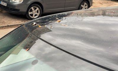 Борбата за паркомясто: Софиянци мажат с яйца колите на "пришълците от провинцията" (СНИМКИ)