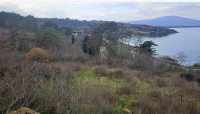 БРАВО, БЕ, КМЕТЕ! Още една гора в Созопол ще се бетонира