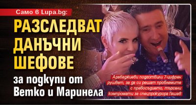 Само в Lupa.bg: Разследват данъчни шефове за подкупи от Ветко и Маринела