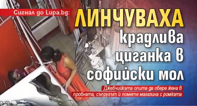 Линчуваха крадлива циганка в софийски мол