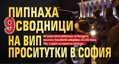 Пипнаха 9 сводници на ВИП проситутки в София