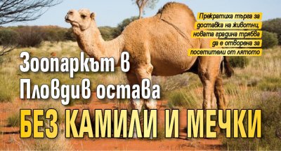 Зоопаркът в Пловдив остава без камили и мечки