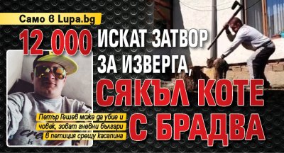 Само в Lupa.bg: 12 000 искат затвор за изверга, сякъл коте с брадва