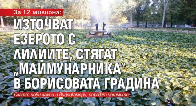 За 12 милиона: Източват Езерото с лилиите, стягат „Маймунарника” в Борисовата градина