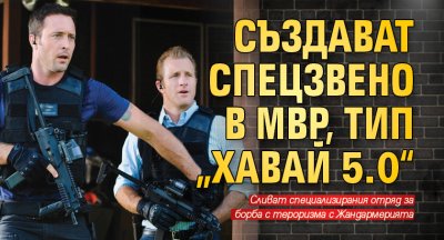 Създават спецзвено в МВР, тип „Хавай 5.0“