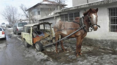 Мъж преби паднал кон с железен прът