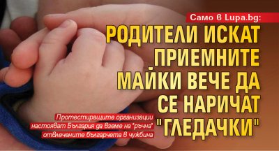 Само в Lupa.bg: Родители искат приемните майки вече да се наричат "гледачки" 