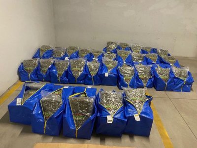 Иззеха над 240 кг наркотици при акция в София