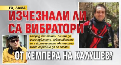 ЕХ, ЛАМА: Изчезнали ли са вибратори от кемпера на Калушев?