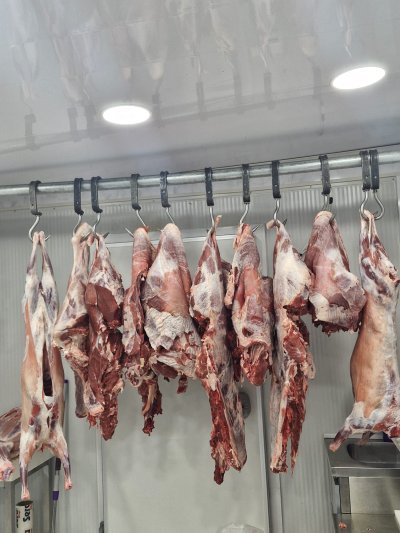 Незаконни кланици край Кърджали: Тонове месо без контрол стигнало до пазара