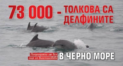 73 000 - толкова са делфините в Черно море