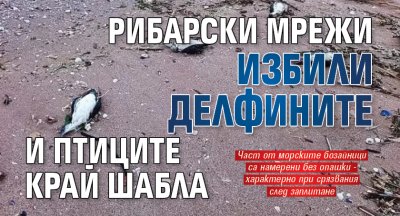 Рибарски мрежи избили делфините и птиците край Шабла