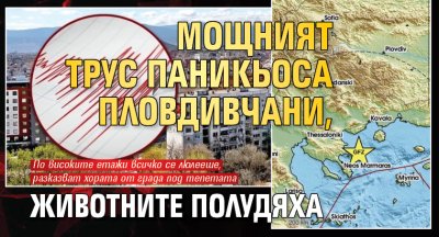 Мощният трус паникьоса пловдивчани, животните полудяха