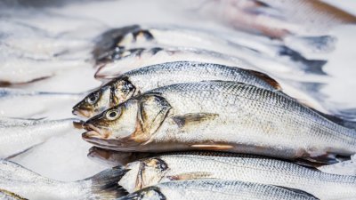 Поскъпването на горивата изстреля нагоре и цената на рибата