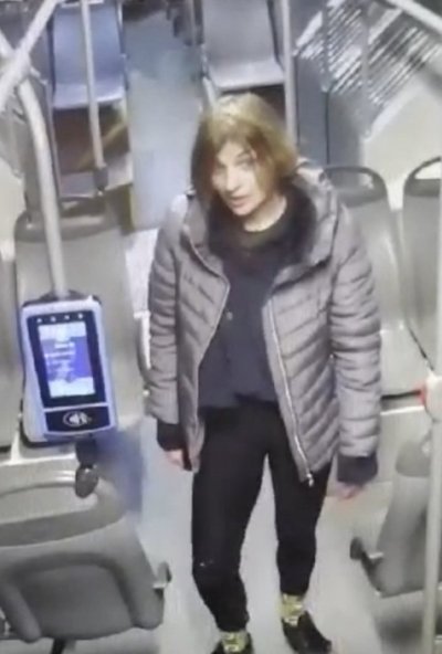 "Не харесвам германци": Съдът остави в ареста 39-годишната, наръгала с нож четирима