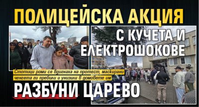 Полицейска акция с кучета и електрошок разбуни Царево