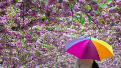 В последния ден на март: Временно спиране на валежите и частично разкъсване на облачността