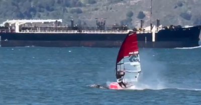 Сърфист се натресе в кит, нищо им няма и на двамата