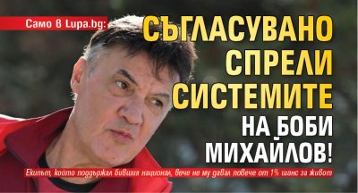 Само в Lupa.bg: Съгласувано спрели системите на Боби Михайлов!