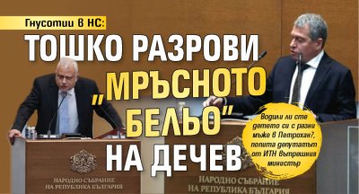 Гнусотии в НС: Тошко разрови "мръсното бельо" на Дечев