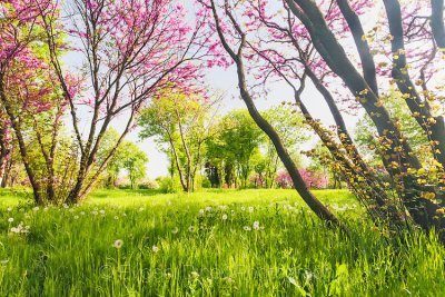 Най-накрая! Дъждът спира, слънцето изгрява утре