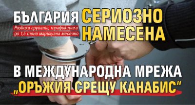 България сериозно намесена в международна мрежа &bdquo;оръжия срещу канабис&ldquo; 