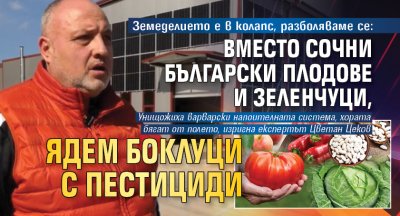 Земеделието е в колапс, разболяваме се: Вместо сочни български плодове и зеленчуци, ядем боклуци с пестициди 