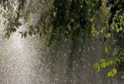 Времето днес &ndash; силен дъжд в цяла България