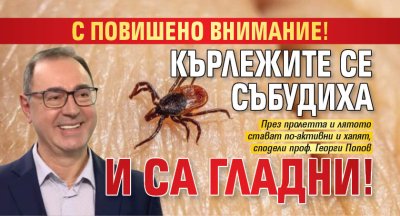 С повишено внимание! Кърлежите се събудиха и са гладни!