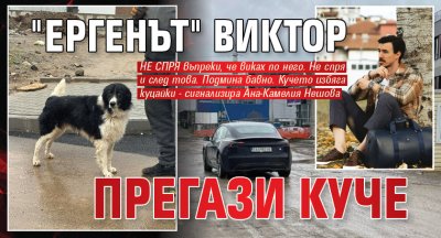 "Ергенът" Виктор прегази куче