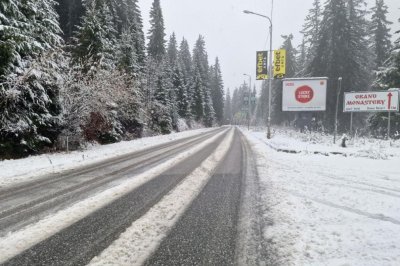 Рожен осъмна с 20 см нов сняг